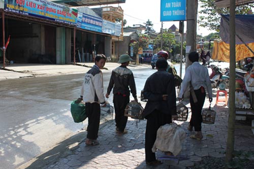 Trai Mông xách chim "xịn" đi bán dạo - 3