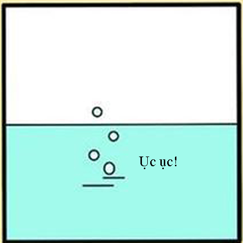 Chết đuối vớ phải... thằng ngốc - 4