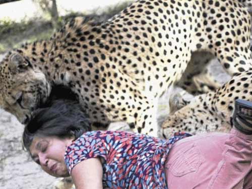 Nam Phi: Kinh hoàng báo tấn công du khách - 2