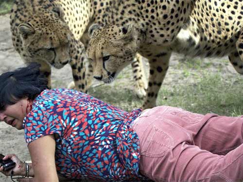 Nam Phi: Kinh hoàng báo tấn công du khách - 3