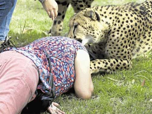 Nam Phi: Kinh hoàng báo tấn công du khách - 4