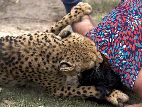 Nam Phi: Kinh hoàng báo tấn công du khách - 5