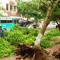 Tin tức trong ngày - Lốc xoáy mạnh ở Lào Cai