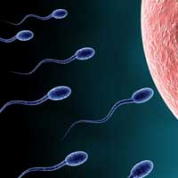 Sức khỏe đời sống - Vì sao quý ông bị thiểu năng tinh trùng?