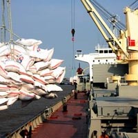 Thị trường - Tiêu dùng - Lo DN "xé rào" bán gạo giá thấp