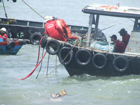 Tàu Trường Hải Star bị đâm do lỗi chủ quan - 2