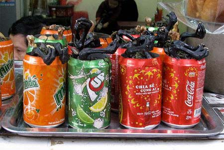 "Gà chổng mông" của HN hấp dẫn khách Tây - 4