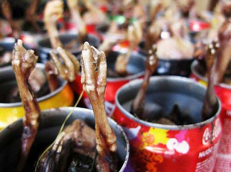 "Gà chổng mông" của HN hấp dẫn khách Tây - 6