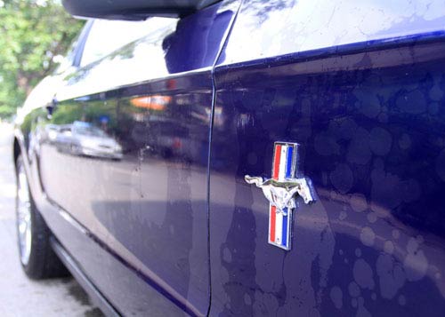 Xe 'cơ bắp' Mỹ giá gần 2 tỉ đồng tại Việt Nam - 8