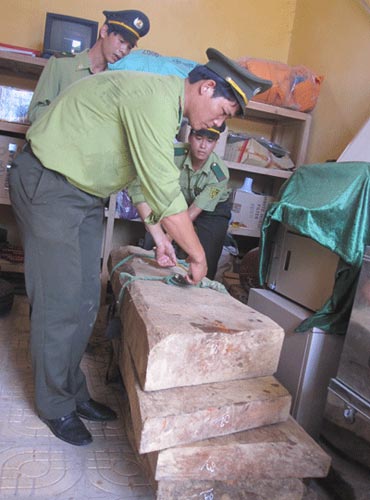 Thu giữ 5 phách gỗ sưa giá 10 tỉ đồng - 1