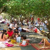 Tin tức trong ngày - Trị bệnh ở "khu vườn kỳ lạ": Nhiều người chết