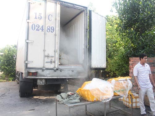 Bắt giữ xe tải chở gần 14 tấn thịt thối - 6