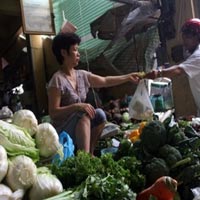 Thị trường - Tiêu dùng - Hà Nội: Dân thờ ơ thông tin cải thảo TQ