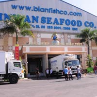 Được bơm 500 tỷ, Bianfishco "hồi sinh"