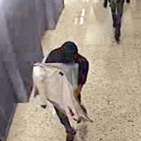 Cái chết đau đớn của một bác sĩ (Kỳ 2)