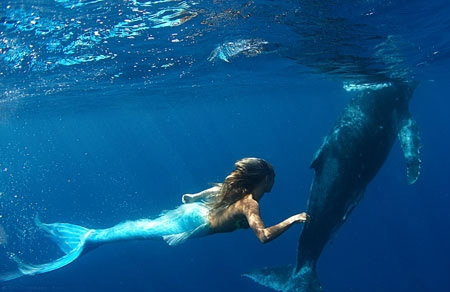 Nàng tiên cá giữa đời thực - 7