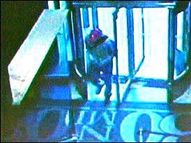 Cái chết đau đớn của một bác sĩ (Kỳ 2) - 2