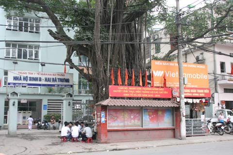 Chuyện chưa kể về cây đa sát nhà hộ sinh - 2