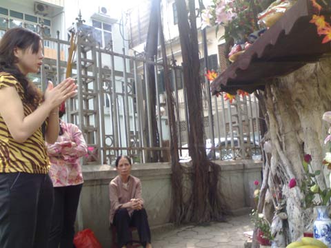 Chuyện chưa kể về cây đa sát nhà hộ sinh - 3