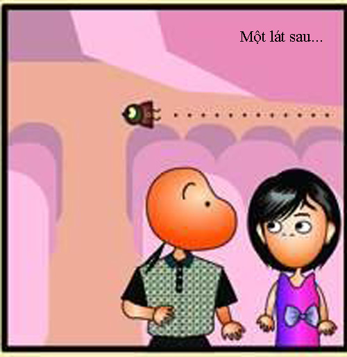 Tường thuật một vụ tai nạn máy bay - 3