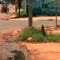 Pháp luật - Thanh niên bị giết dã man bên lề đường