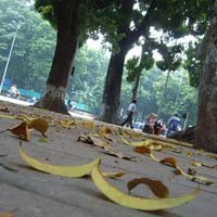 Tin tức trong ngày - Đón không khí lạnh, Miền Bắc chuyển mát