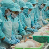 Tài chính - Bất động sản - Sắp "chết", BĐS vẫn đòi "cứu" người