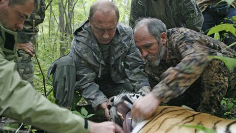 Chùm ảnh: "Biệt tài" của Tổng thống Putin - 10