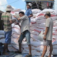 Thị trường - Tiêu dùng - Lúa gạo "lật kèo" bất ngờ giảm giá