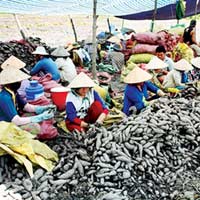 Thị trường - Tiêu dùng - Mất chục tỷ đồng do giao dịch miệng