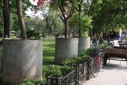 Sưa "mặc quần bê tông", trộm vẫn viếng thăm - 4