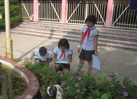 Chùm ảnh học sinh thực nghiệm "học như chơi" - 10
