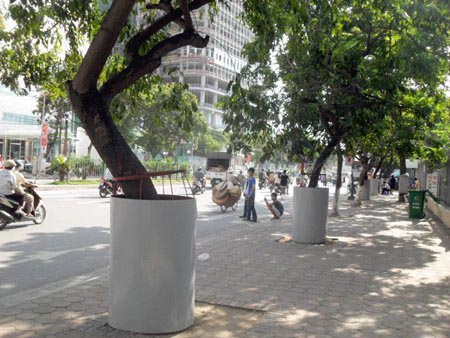Những tuyệt chiêu bảo vệ cây sưa quý - 3