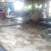 Sức khỏe đời sống - Cận cảnh biến thạch dừa thối nhờ thuốc tẩy