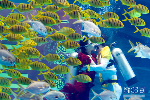 Đám cưới dưới biển siêu lãng mạn - 5