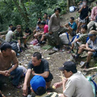 Tin tức trong ngày - Rợn người nạn cướp gỗ sưa