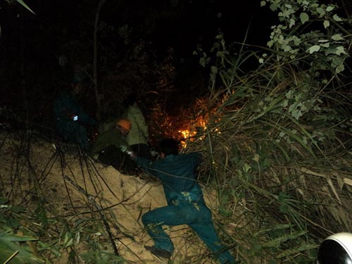 Sét đánh gây cháy rừng ở Đà Nẵng - 3