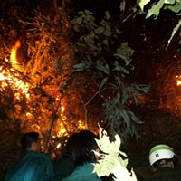 Tin Đà Nẵng - Sét đánh gây cháy rừng ở Đà Nẵng