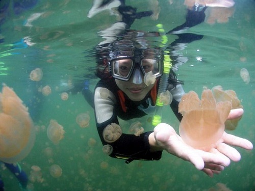 Hồ sứa nước mặn tuyệt đẹp ở Palau - 13