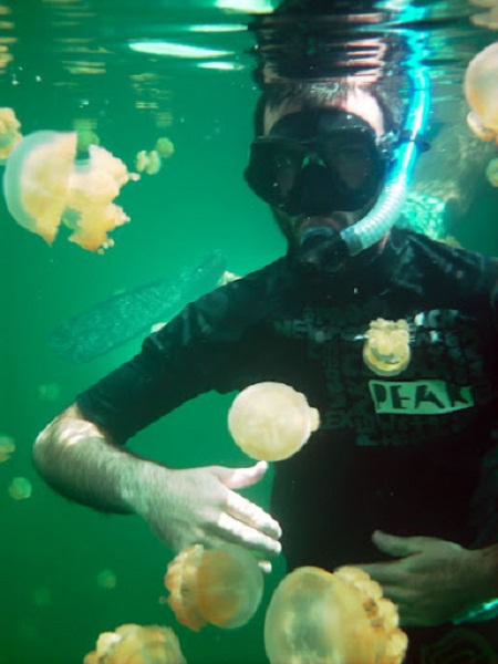 Hồ sứa nước mặn tuyệt đẹp ở Palau - 14