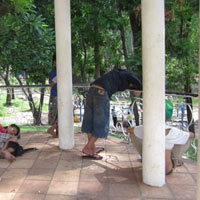 Tin tức trong ngày - Báo động nạn hít “keo chó” của giới trẻ