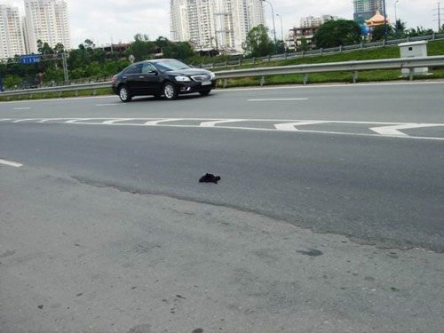 Chắp vá xong Đại lộ Đông Tây - 3