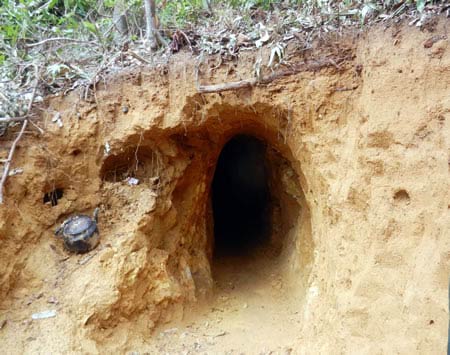 Khe Đương lại nóng khai thác vàng - 4