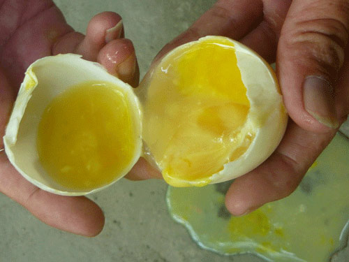 Lại xuất hiện trứng dỏm? - 2