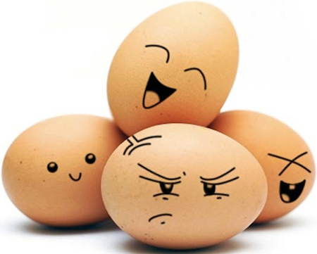 Đố vui: Quả trứng, con gà - 1