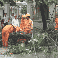 Tin tức Việt Nam - Cột điện "bật gốc" giữa Thủ đô