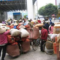 Thị trường - Tiêu dùng - Thả nổi chất lượng rau quả nhập khẩu