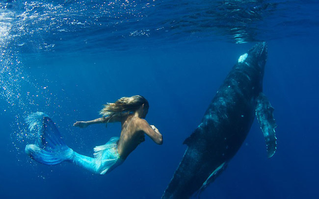 Mục đích của Hannah là tuyên truyền để bảo vệ cá voi, cá heo.
