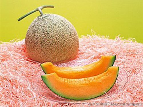 Hoảng: Trứng ốp la giá 1000 đô - 2