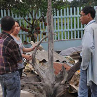 Tin tức trong ngày - Bỗng dưng thành... tỉ phú